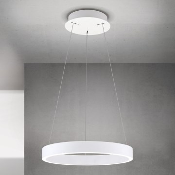 LED luster na sajli, prigušiva KOLK LED/40W/230V 2700/3000/4000K prečnik 40 cm, bela