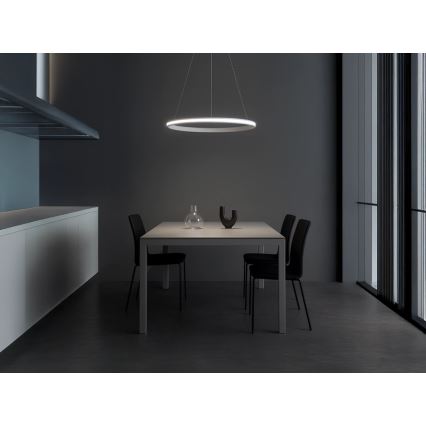 Prigušiva LED luster na sajli LED/55W/230V 3000-6500K prečnik 60 cm + daljinski upravljač