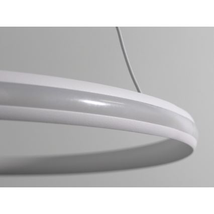Prigušiva LED luster na sajli LED/55W/230V 3000-6500K prečnik 60 cm + daljinski upravljač