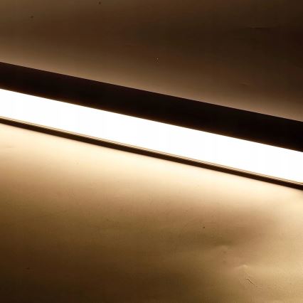 LED luster na sajli/prislonjen LED/44W/230V 4000K 120 cm crna
