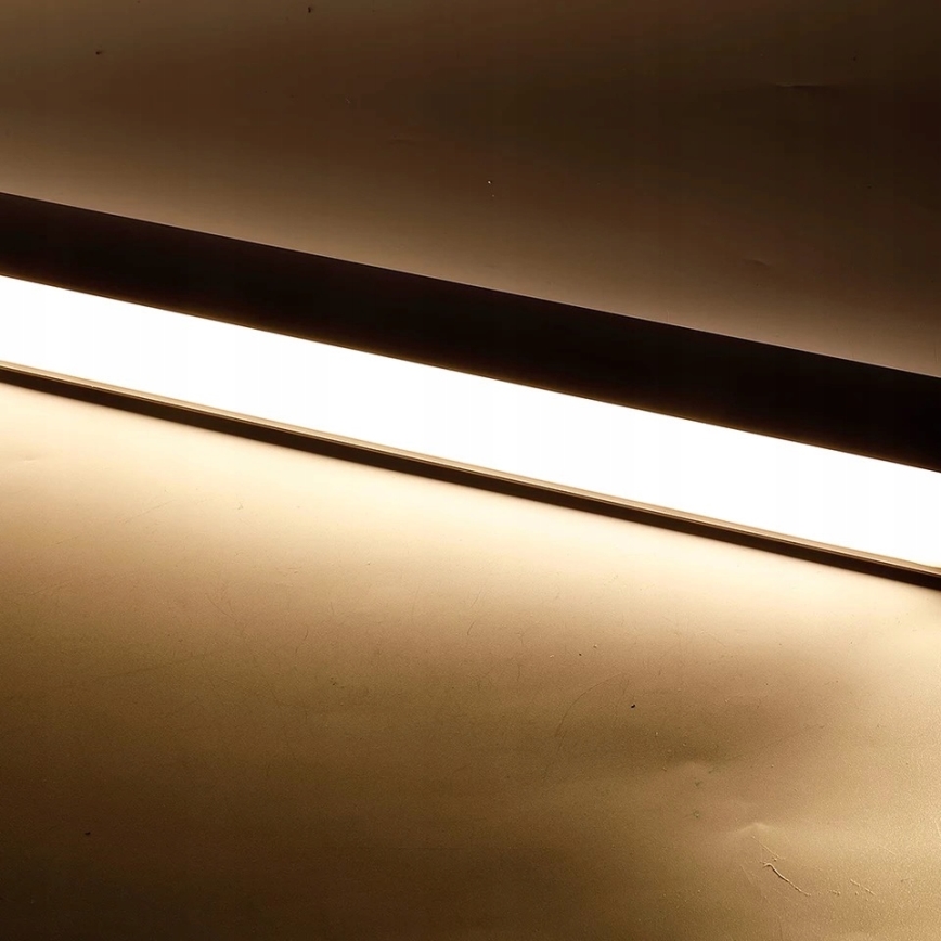 LED luster na sajli/prislonjen LED/44W/230V 4000K 120 cm crna