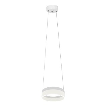 LED luster na sajli RING LED/12W/230V