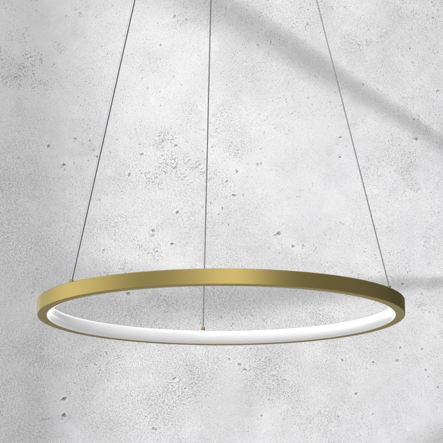 LED luster na sajli ROTONDA LED/27W/230V zlatna