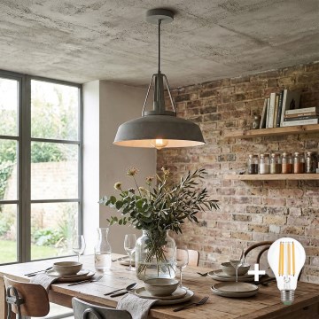 LED luster na sajli RYAN 1xE27/60W/230V siva