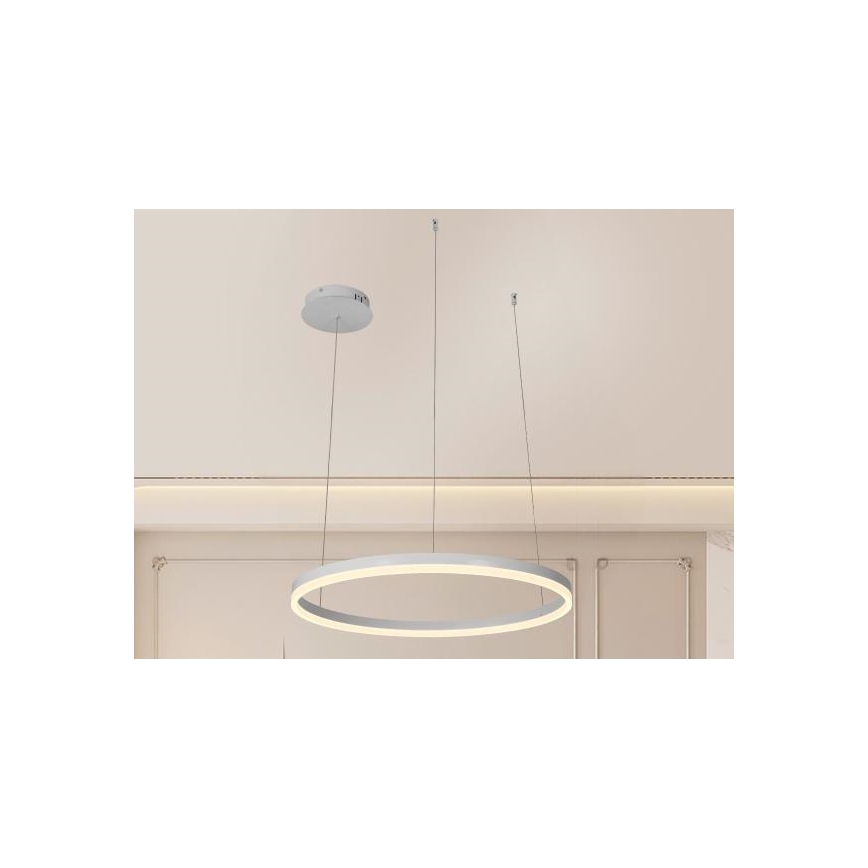 LED prigušiva luster na sajli LED/42W/230V 3000-6500K prečnik 60 cm + daljinski upravljač