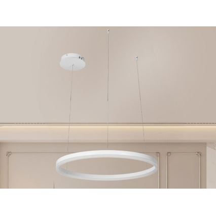 LED prigušiva luster na sajli LED/42W/230V 3000-6500K prečnik 60 cm + daljinski upravljač