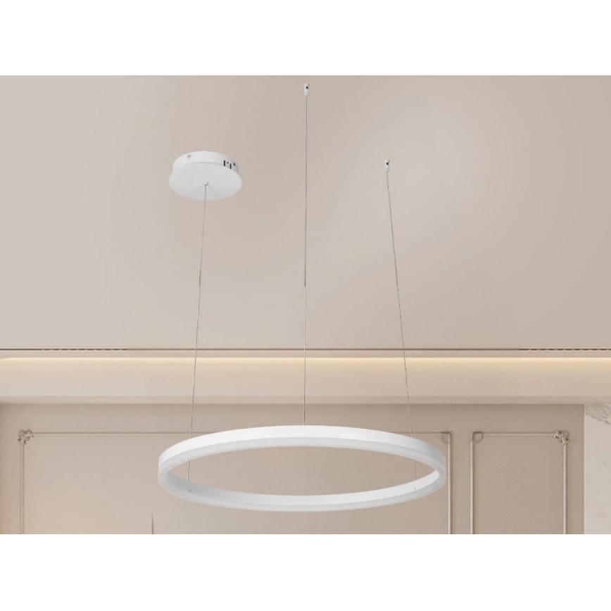 LED prigušiva luster na sajli LED/42W/230V 3000-6500K prečnik 60 cm + daljinski upravljač