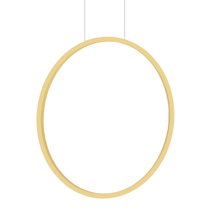 LED luster na sajli SATURNO LED/28W/230V Ø 50 cm IP44 zlatna