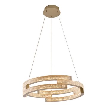 LED luster na sajli TARJA LED/36W/230V 3000/4000/6000K prečnik 60 cm zlatna