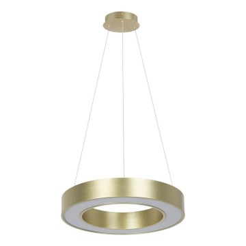 LED luster na sajli UNION LED/40W/230V 3000/4000/6500K prečnika 40 cm zlatna