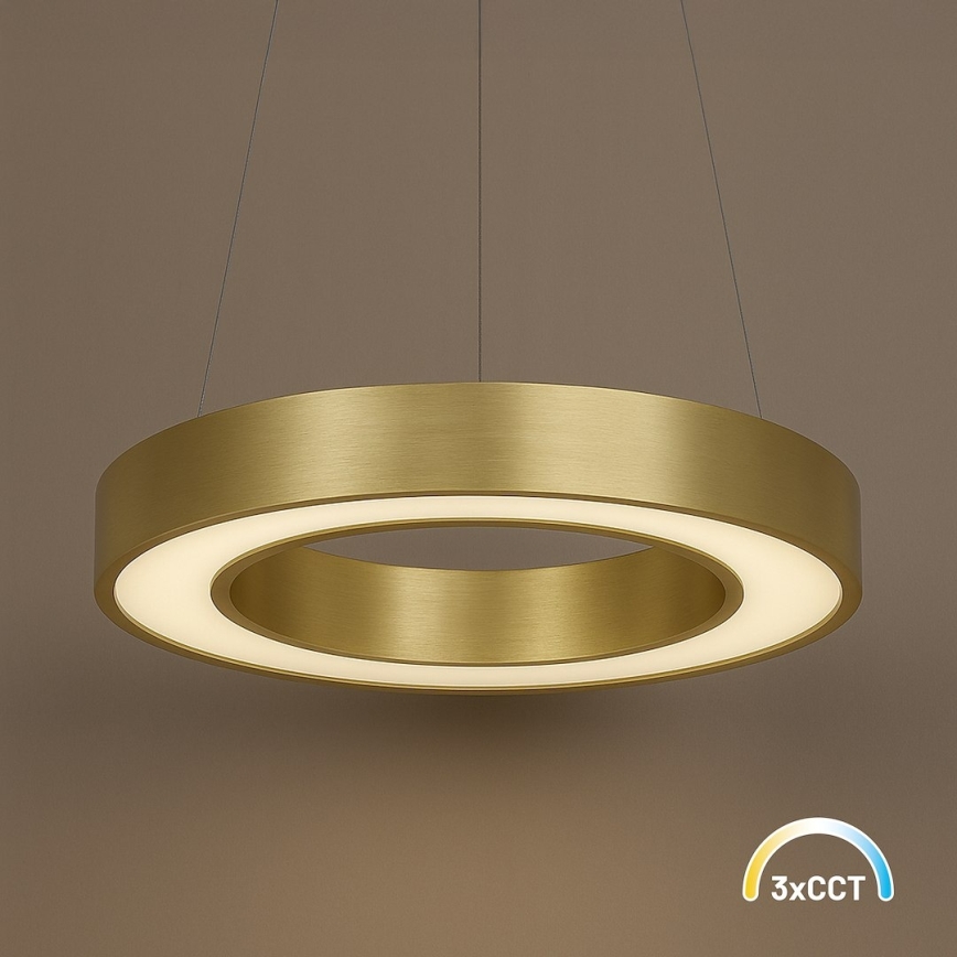 LED luster na sajli UNION LED/40W/230V 3000/4000/6500K prečnika 40 cm zlatna