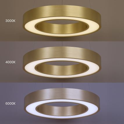 LED luster na sajli UNION LED/40W/230V 3000/4000/6500K prečnika 40 cm zlatna