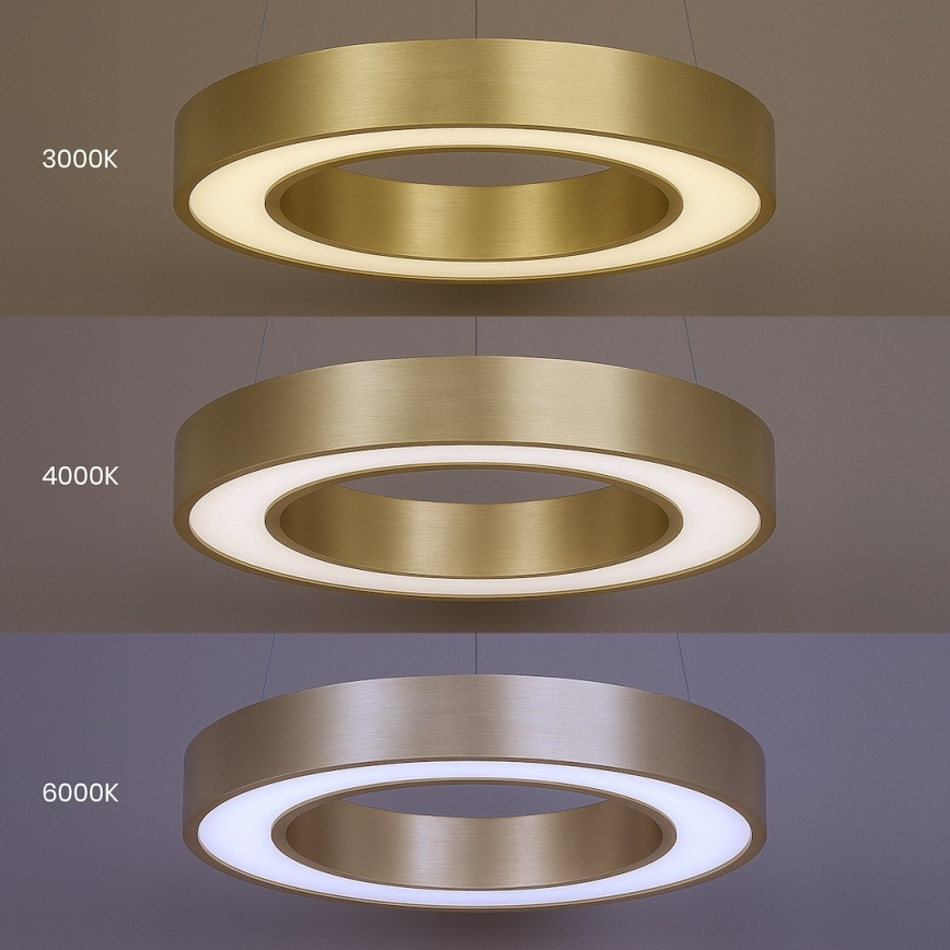 LED luster na sajli UNION LED/40W/230V 3000/4000/6500K prečnika 40 cm zlatna