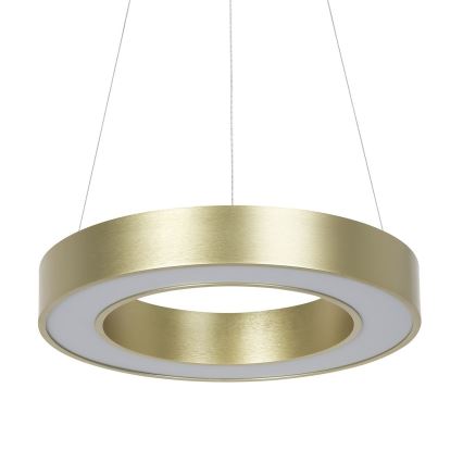 LED luster na sajli UNION LED/40W/230V 3000/4000/6500K prečnika 40 cm zlatna