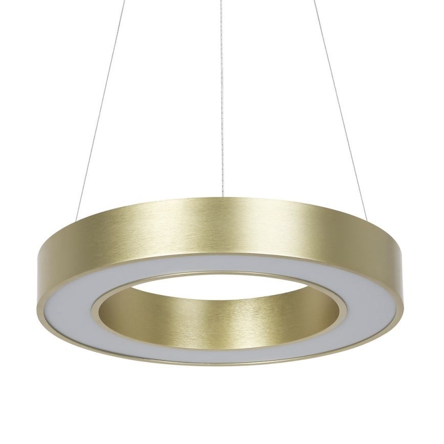 LED luster na sajli UNION LED/40W/230V 3000/4000/6500K prečnika 40 cm zlatna