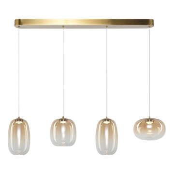 LED luster na sajli VASO LED/15W/230V zlatna/zadimljena