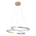 LED luster na sajli ZEFIRA LED/40W/230V 4000K, prečnik 50 cm, zlatna