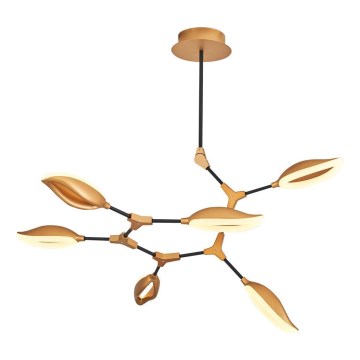 LED luster na šipci ASTI 6xLED/7W/230V 3000K zlatna