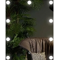 LED ogledalo sa osvetljenjem 9xLED/1W/230V 3000/4000/6000K 50x40 cm IP44