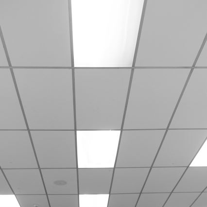 LED panel LED/48W/230V 4000K 120x30 cm