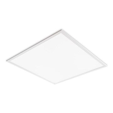 LED panel za spušteni plafon DAVRO LED/40W/230V 4000K 59,5x59,5 cm bela