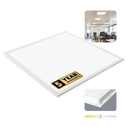 LED panel za spušteni plafon DAVRO LED/40W/230V 4000K 59,5x59,5 cm bela