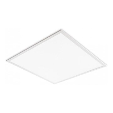 LED panel za spušteni plafon DAVRO LED/40W/230V 4000K 62x62 cm bela