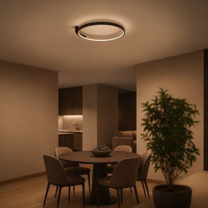 LED plafonjera LUNA LED/18W/230V prečnik 42,5 cm crna