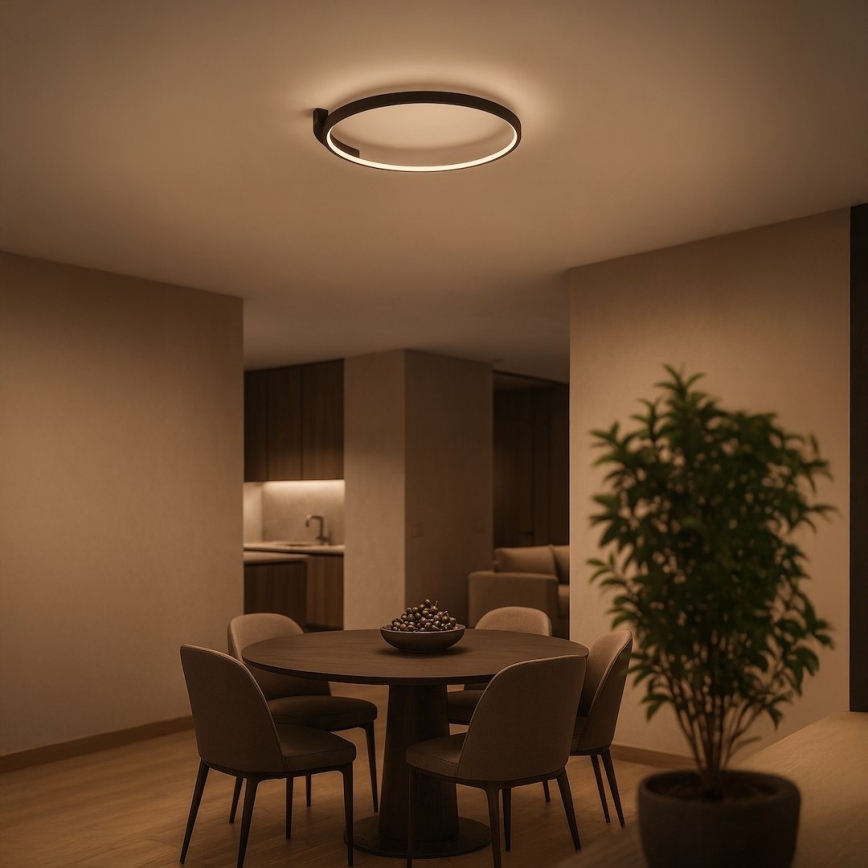 LED plafonjera LUNA LED/18W/230V prečnik 42,5 cm crna