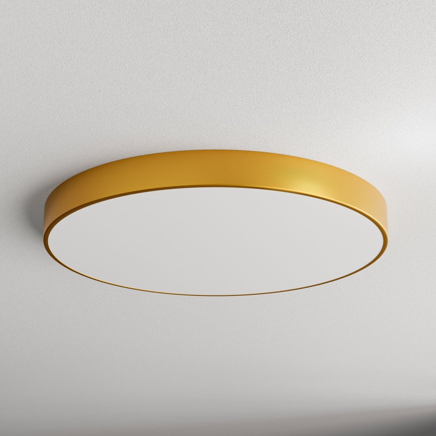 LED plafonska lampa CLEO LED/96W/230V 3000K prečnik 80 cm zlatna