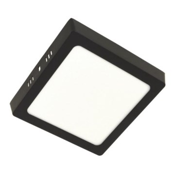LED plafonska lampa GERRY LED/12W/230V 4000K crna