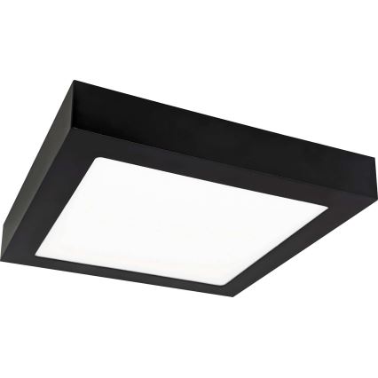 LED Plafonska svetiljka FENIX LED/18W/230V 2800K 22,5 cm