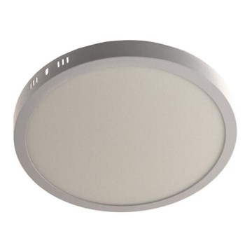 LED plafonska svetiljka GERRIT LED/24W/230V 4000K bela