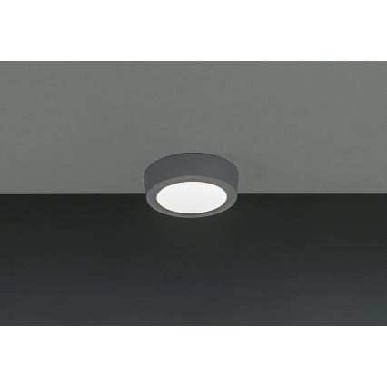 LED plafonska svetiljka GERRIT LED/6W/230V 4000K