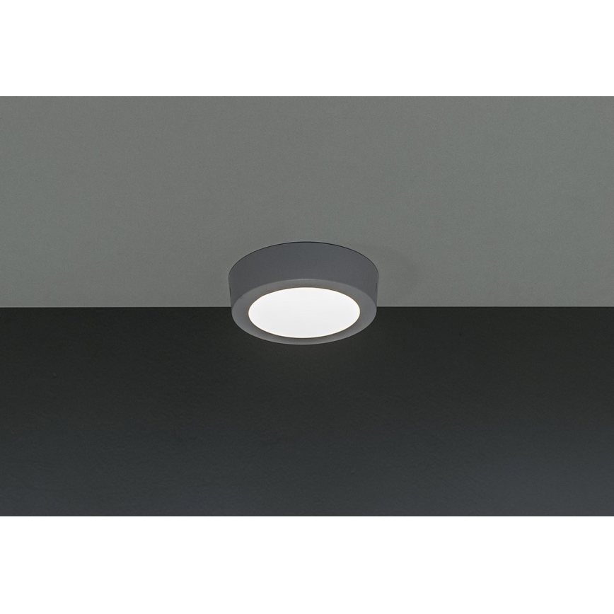 LED plafonska svetiljka GERRIT LED/6W/230V 4000K