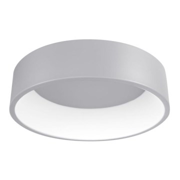 LED plafonska svetiljka KAJI LED/20W/230V