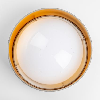 LED plafonska svetiljka LED/12W/230V pr. 32 cm taupe/zlatna