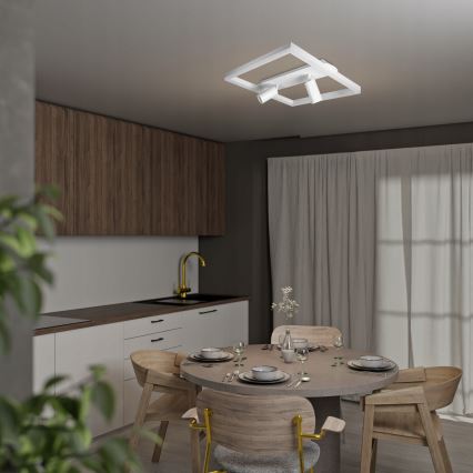 LED plafonska svetiljka LED/38W/230V + 2xGU10/30W bela