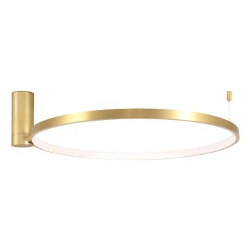LED plafonska svetiljka NOEMI LED/20W/230V 4000K prečnik 50 cm zlatna