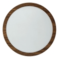 LED plafonska svetiljka RING LED/18W/230V 4200K prečnik 21 cm braon