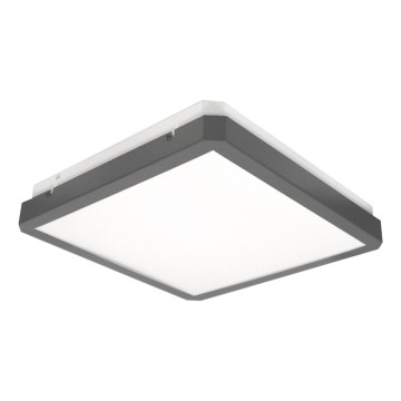 LED plafonska svetiljka sa senzorom pokreta i sumraka RAVA LED/38W/230V 4000K 41x41 cm antracit