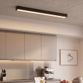 LED Plafonski/luster na sajli LED/44W/230V 3000K 120 cm crna