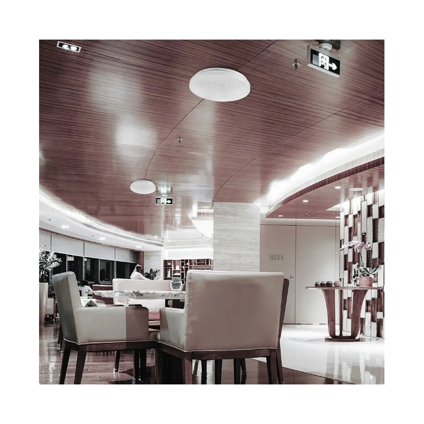 LED plafonsko svetlo 18W/230V, prečnik 31 cm, 3000/4000/6400K