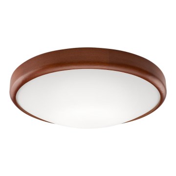 LED plafonsko svetlo 1xLED/24W/230V