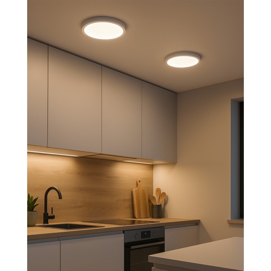 LED plafonsko svetlo 24W/230V, 4200K, prečnik 28,5 cm, belo