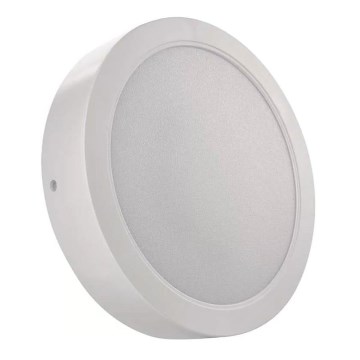 LED plafonsko svetlo 24W/230V, prečnik 22 cm, belo