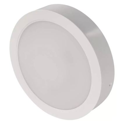 LED plafonsko svetlo 24W/230V, prečnik 22 cm, belo