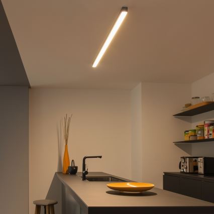 LED plafonsko svetlo ALLDAY BASIC LED/20/30/40W/230V 2700/4000/6000K 120 cm crno