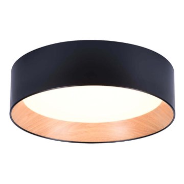 LED plafonsko svetlo ARENA LED/43W/230V