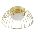 LED plafonsko svetlo BETSY LED/12W/230V, prečnik 25 cm, zlatna